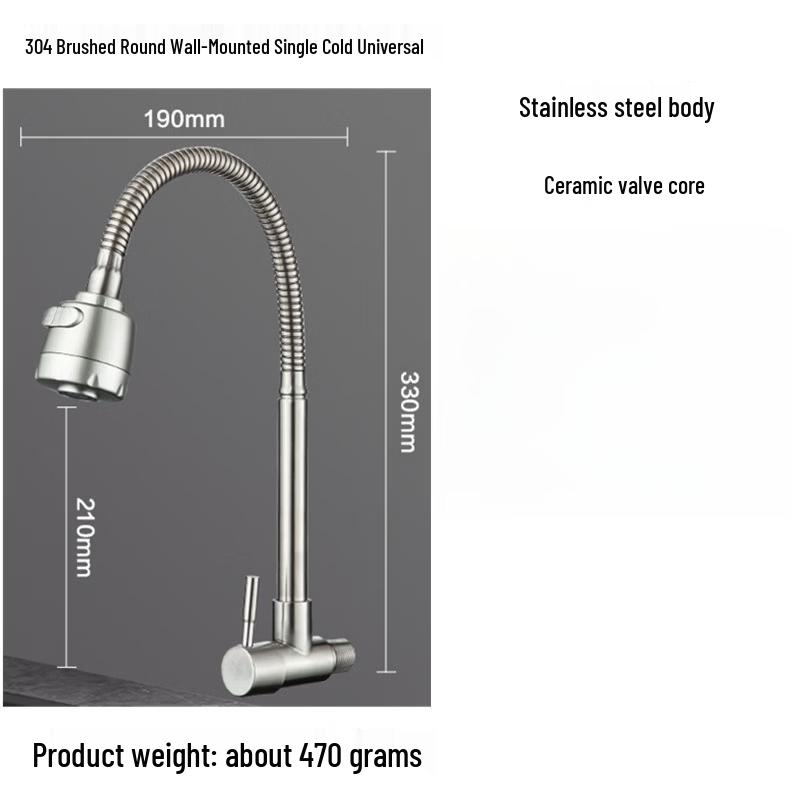 TLXT 304 Stainless Steel Wall-Mounted Cold Water Faucet with Swivel Spout