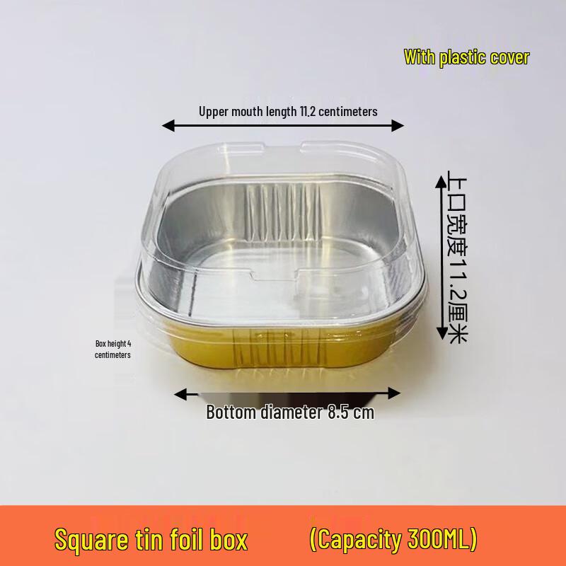 

Shixun Golden Square Aluminum Foil Containers with Lids, Dark & Light Blue (100-Pack)