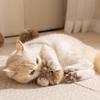3 stuks Bontbal Rijke Speeltjes voor Puppy's en Kittens Zelfvermaak en Verveling Verlichtend Artefact