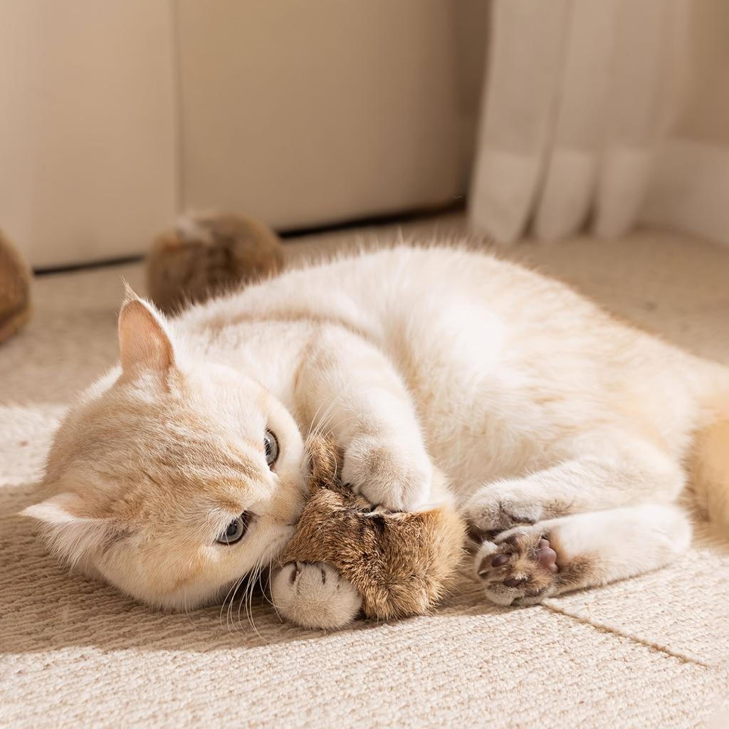 3 stuks Bontbal Rijke Speeltjes voor Puppy's en Kittens Zelfvermaak en Verveling Verlichtend Artefact