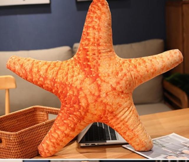 

Plush toy, sea creature, aquarium, shell, seafood, shell, cushion, huggable pillow, realistic, fluffy, sewn, starfish, seawater, underwater,