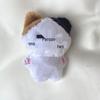 EN Plush Keychain Doll: Liang Zhenyuan, Shen Zai Lun, Park Zongxing, JAY Park, Chengxun Characters