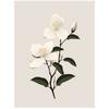 Jasmine Branch Jasmine Branch, 30X40 Cm, Frameless, 230 Gsm Matte Paper