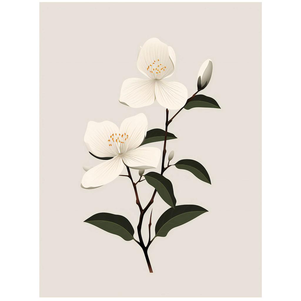 Jasmine Branch Jasmine Branch, 30X40 Cm, Frameless, 230 Gsm Matte Paper