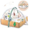 Nukido Interactive Educational Playmat Lion