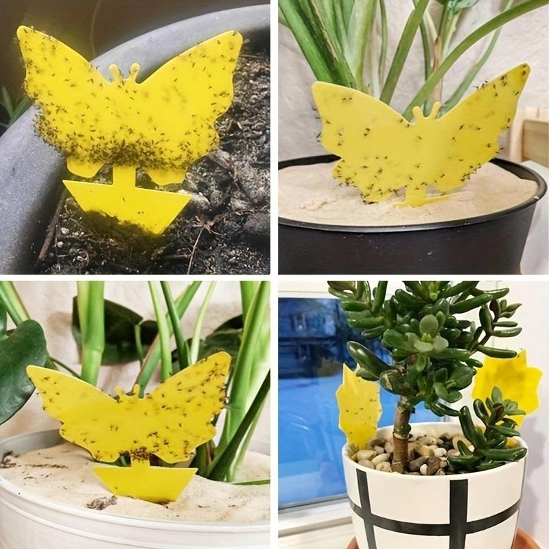 50pcs/10Pcs Yellow Armyworm Trap Trap Board Sticky Trap Fruit Fly Insect Fly Pest Trap