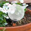 Automatic Plant Watering Bulbs Garden Waterer Automatic Irrigation Device Irrigation System for Potted Home Potting Accessories