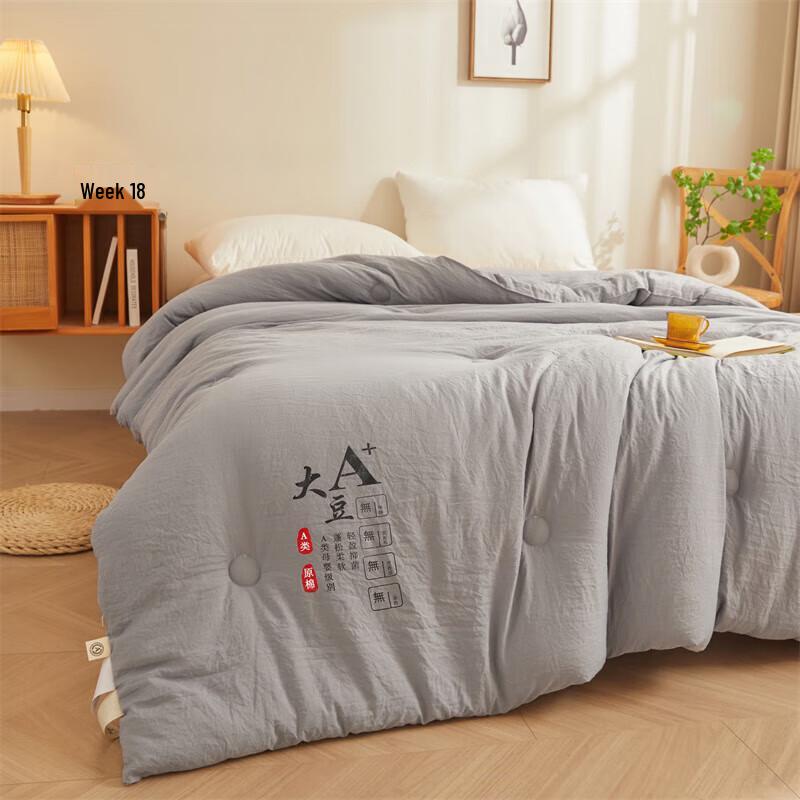 Qixiai Super Soft Soy Fiber All-Season Duvet