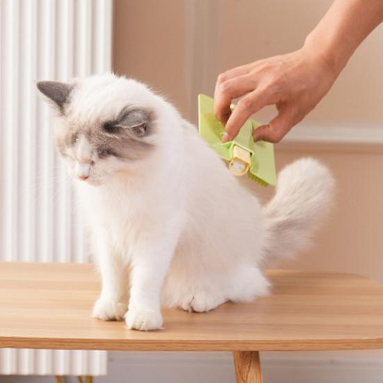 Katzenkratzer mit abgerundeten, stumpfen Kammzähnen, integrierte Katzenminztabletten, Kleberückseite, Katzenpflege-Werkzeug, Möbel