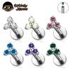 ASTM F136 Titanium Trinity Piercing Zirconia Paved Top Threaded Labret Studs Tragus Earrings Lip Tongue Stud Piercing Jewelry