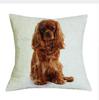 Cavalier King Charles Spaniel 45X45Cm Pillowcase Bedroom Sofa Home Decor