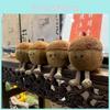 Jc Acorn Plush Toy With Soft Short Pile For Christmas Decor Gift