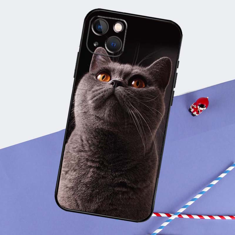 Beautiful Grey British Shorthair Cat Phone Case For iPhone 16 Pro Max 11 13 14 15 Pro Max 12 Mini XR 16 15 Plus 16e Back Cover