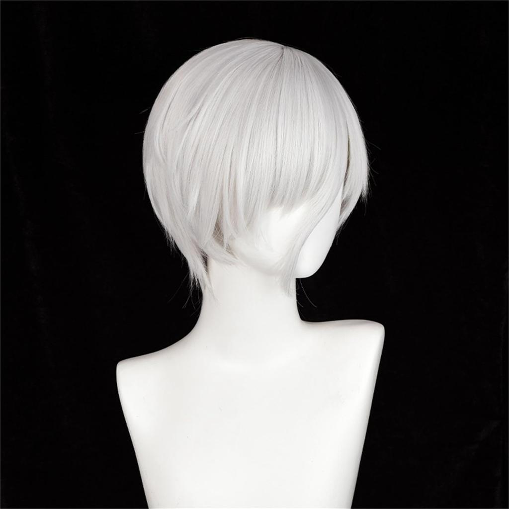 Laubao Shopping Antarcticite Cosplay Gray Costume Halloween Cosplay Wig Wig, Bob, Hair, Heat-Resistant, Accessory, Costume, (Antarcticite)