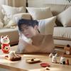 Singer Cha E-Eun W-Woo Cushion Cover Silky Short Plush With Invisible Zipper Dustproof Sofa Pillow Cover For Home Decor