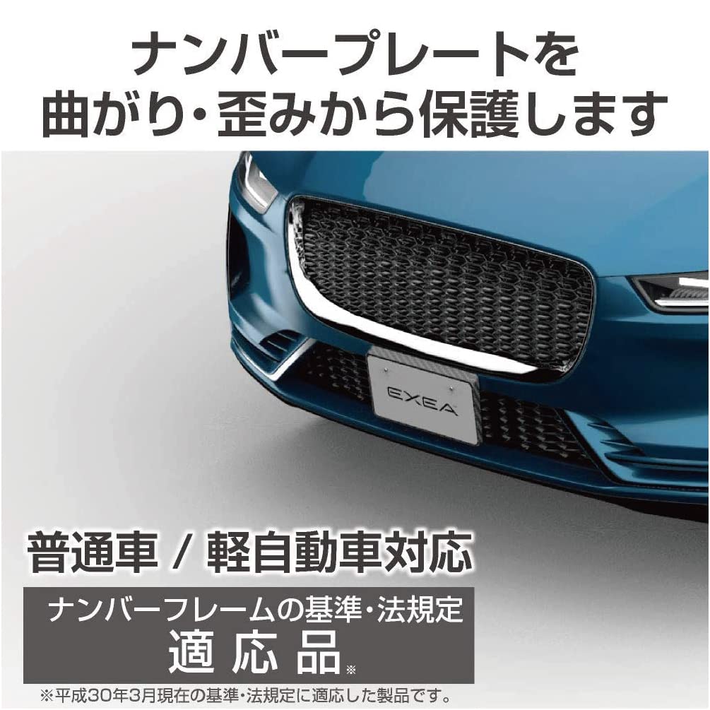 Seiko Sangyo EXEA Carbon Number Plate Exterior Frame, Parts, EX-206