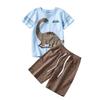 Boys' Casual T-Shirt Set Summer Outfit 2-Piece for Daily Wear