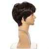 Men Synthetic Black Wig With Bangs Natural Looking Daily Fake Hair for Male Short Brown Wigs Costume Party Heat Resistant Fiber
