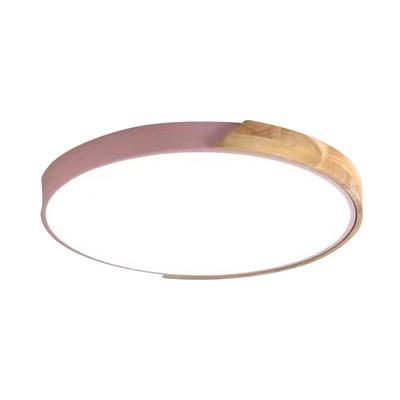 Modern LED Ceiling Light For Bedroom - Strong Structure Exquisite Craft Lighting Living Lamp