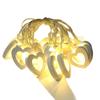 Valentine's Day Romantic LED Heart Fairy Lights for Bedroom & Proposal Decoration