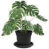 Plant Pots 6 Pcs Black Ø 12.5 X 10 Cm Plastic