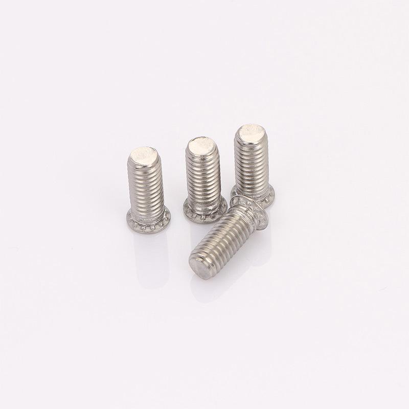 304 Stainless Steel Pressure Plate Cylindrical Head Rivet Screw (FHS-M2 M2.5 M3 M4 M5 M6 M8 M10)
