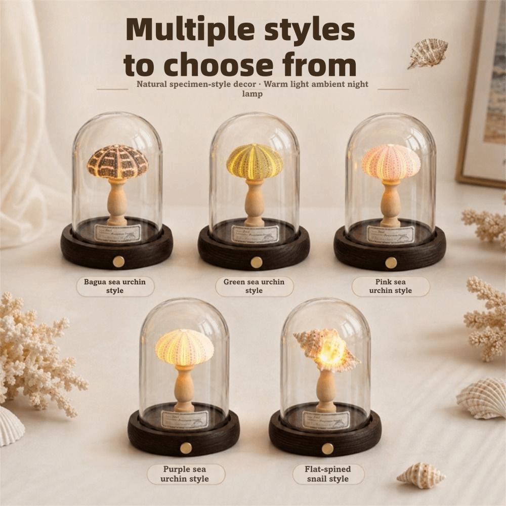 Soft Lighting Sea Urchin Lamp Handmade Night Light Ornament Idea Shell Lamp Indoor Room