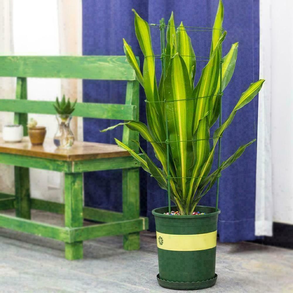 Flower Stand Rings Potted Support Frame Tomato Cage Decorative Trellis Bracket Climbing Vine Rack