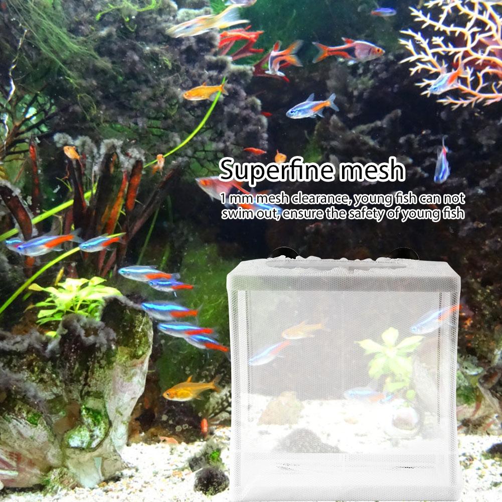 Multifunctional Isolation Mesh Box Fish Breeding Net Aquarium Fish Tank Incubator Breeder