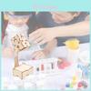 Elementary Diy Science Desk Lamp Children's Small Experiment Illuminating Night Light Wooden Educational Model Wholesale