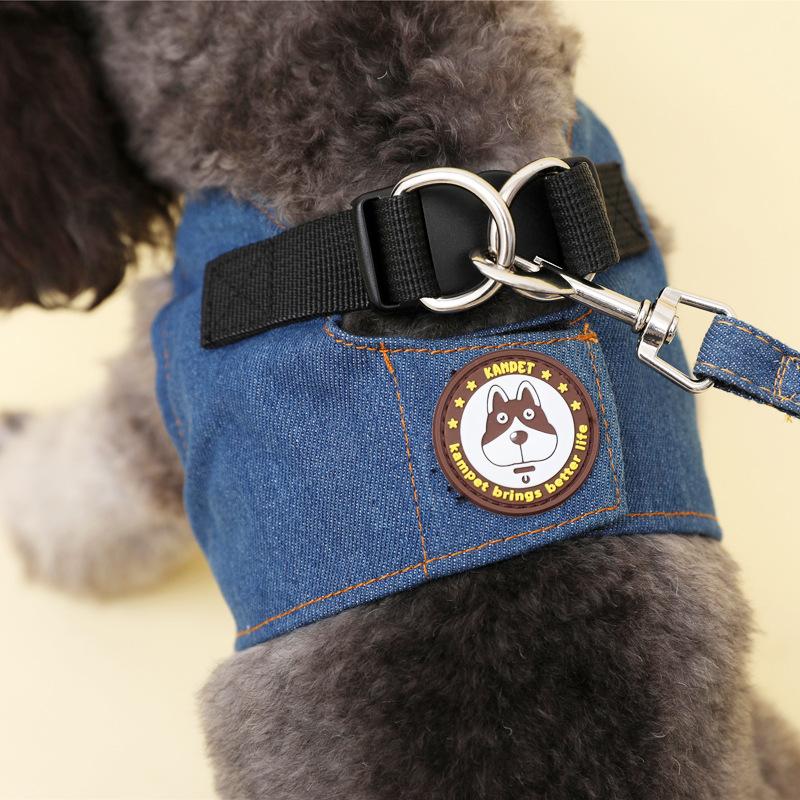 Pet Supplies: Cowboy Leash, Leash, Dog Leash, Dog Chain, Teddy Chest and Back Dog