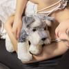 22-40CM New Lovely Plush Schnauzer Plush Toys Stuffed Soft Animal Dolls Kawaii Schnauzer Dog Nice Birthday Christmas Gifts