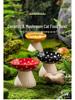 Ceramic Elevated Cat & Dog Bowl - Anti-Tip Design for Cervical Spine Protection - Food & Water Bowl