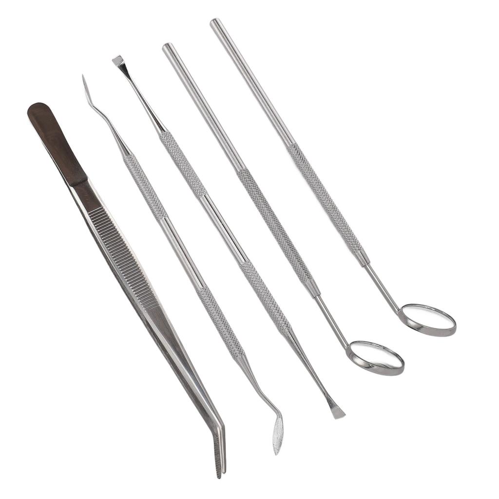 5pcs Teeth Cleaning Tools Stainless Steel Tooth Tartar Scraper Oral Care Tool with 2 Mouth Mirror 2