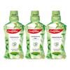 Fresh Jasmine Green Tea Mouthwash