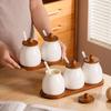 Retro-style Spice Containers with Spoon Condiment Jar Simple Salt Jar  Condiment Dispensing