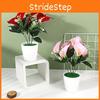 Aethiopica Zantedeschia Simulates Potted Plant Artificial Flower Decoration