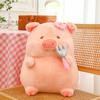 Pig Plush Doll Gluttonous Cub Doll Cute Wind Children's Toy Birthday Gift Piggy Doll for Girlfriend
