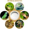 3 sizes Ceramic Aquarium Pet Reptile Feeder Bowl Basin Food Water Pot Reptile Turtle Tortoise Scorpion Lizard Crabs Supplies