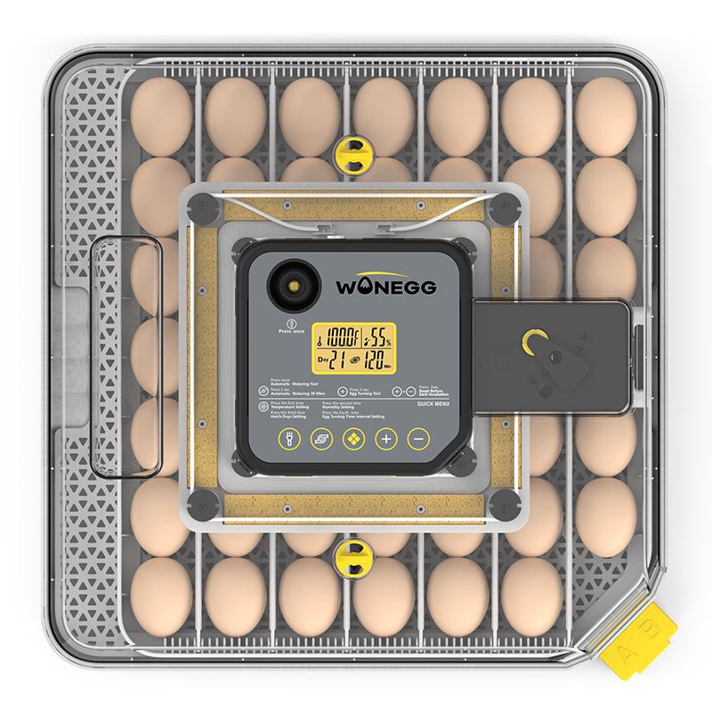 48-Egg Automatic Incubator with Auto-Turning and Humidity Control for Home Use