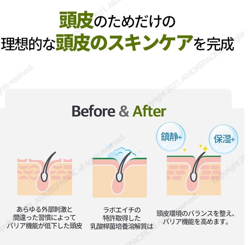 Scalp Strengthening Derma Shampoo 400ml LABO-H