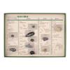 Oherikosha Specimen Geological Time Specimens History of the Book-Type Set "The Earth"