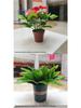 Outdoor Artificial Azalea Bonsai Set - Small Potted Plant for Flower Bed or Corridor Display
