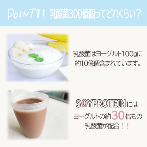 Soy Protein 1kg, Made In Japan, Chocolate, Cocoa, Lactic Acid Bacteria, Protein, Soy Isoflavones