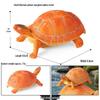 Cross-Border Children's Cognitive Amphibian & Reptile Tortoise Model Fish Tank Ornament Toy