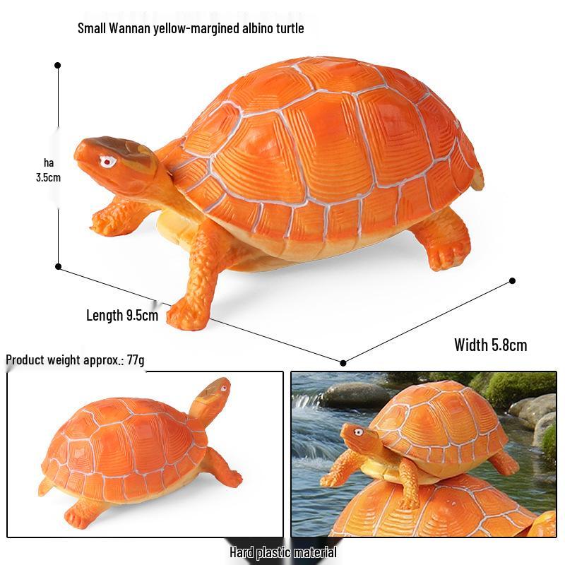 Cross-Border Children's Cognitive Amphibian & Reptile Tortoise Model Fish Tank Ornament Toy