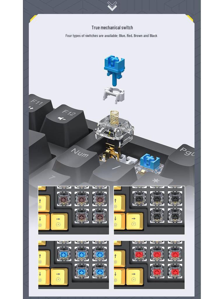 IMICE Mechanical Gaming Keyboard with Blue, Red, Tea, and Black Switches