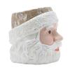 Santa Planter