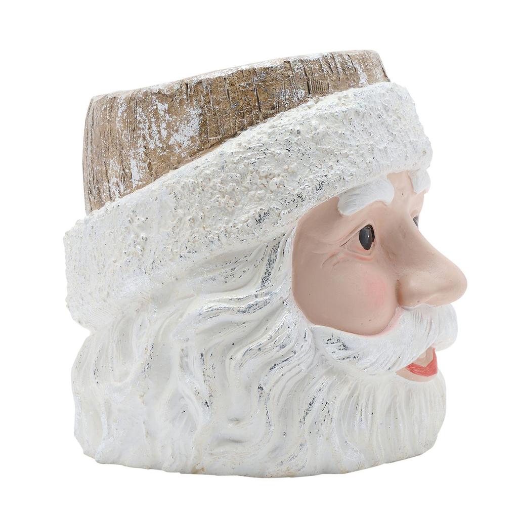 Santa Planter