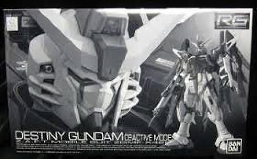 RG Destiny Gundam Deactive Mode Plastic Model Bandai 1/144 ZGMF-X42S (Premium Exclusive)